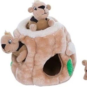 🎊HP🎊 NWT, Hide A Squirrel Dog Toy